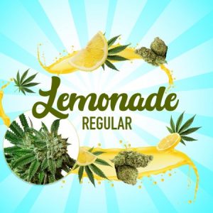 lemonade_reg
